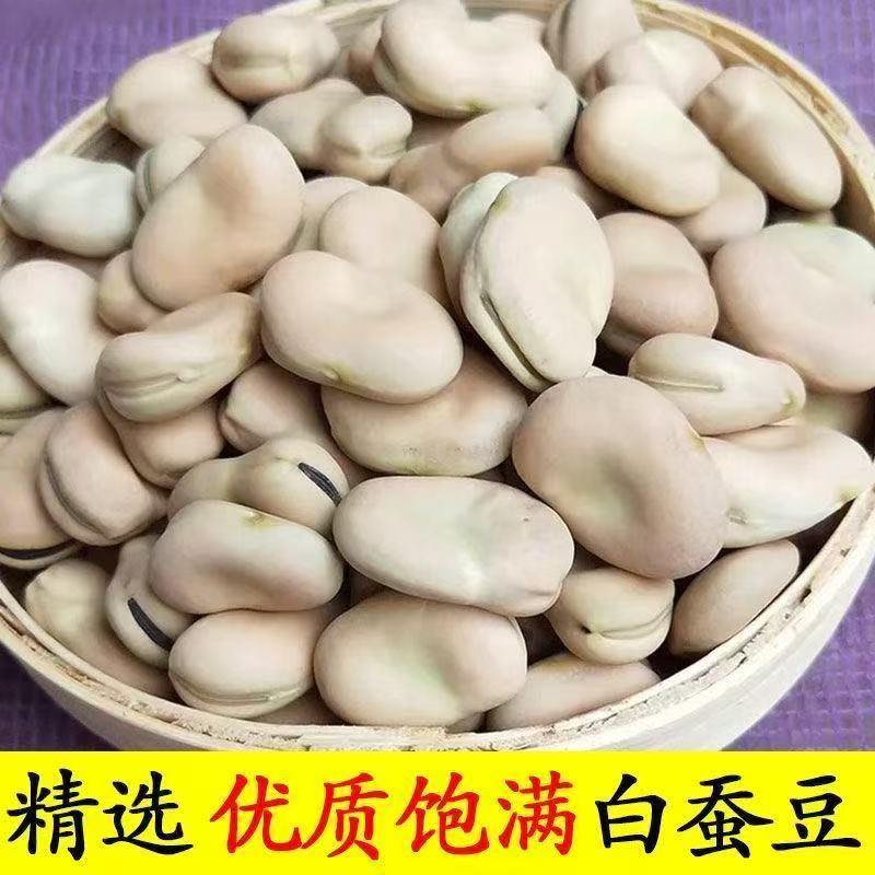 四川当季新蚕豆干货白皮蚕豆农家自种大颗粒可发芽胡豆罗汉豆新种