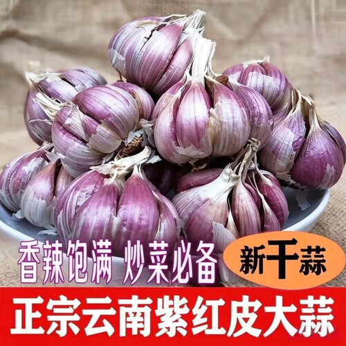 云南大理新鲜紫皮蒜干蒜红皮蒜腊八蒜糖醋蒜农家自种大蒜