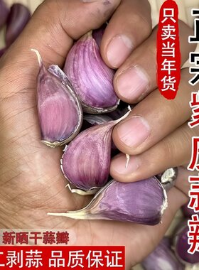 高产可留种正宗云南红皮大蒜子种蒜种蒜瓣紫皮大蒜出蒜苔红根蒜苗