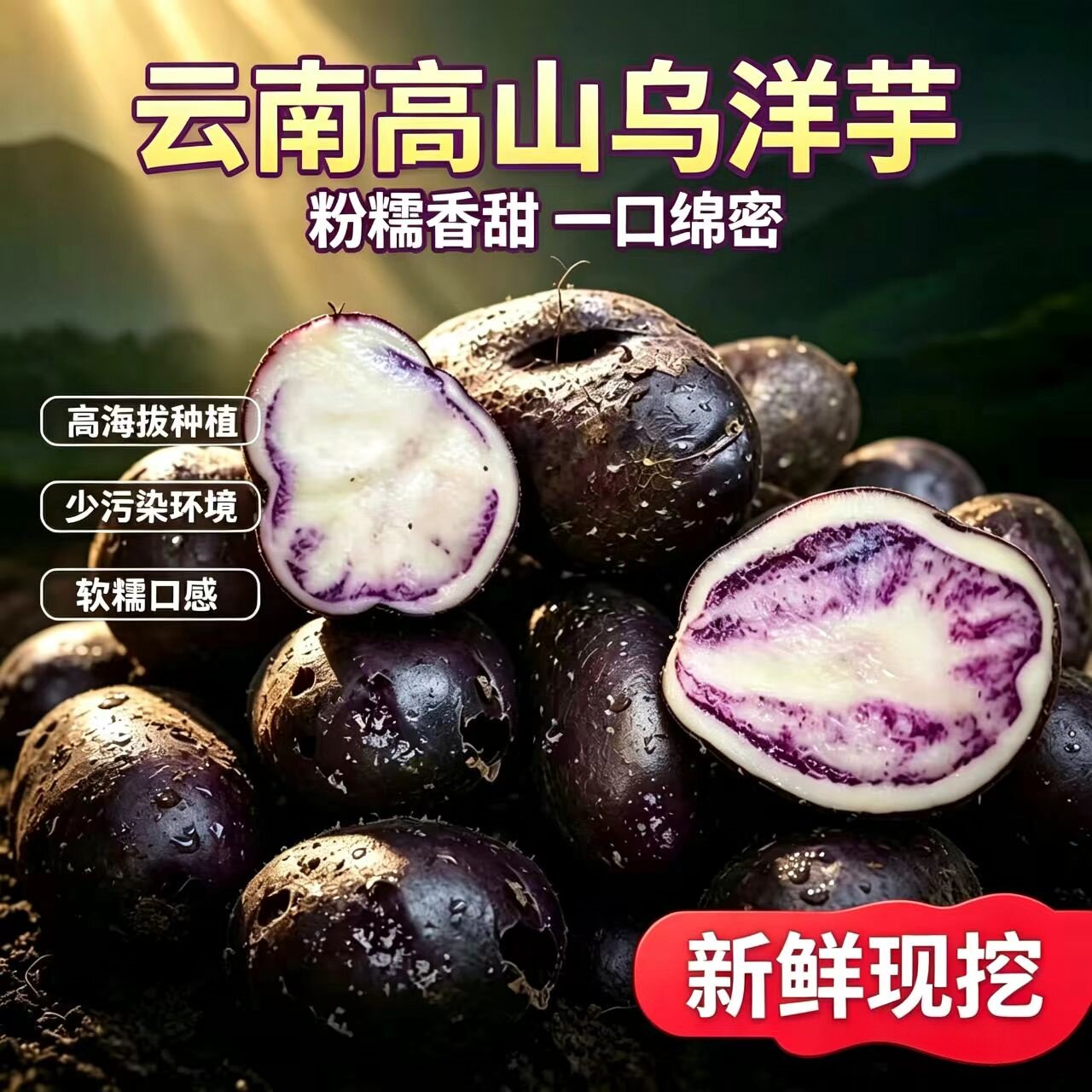 云南乌洋芋老品种乌洋芋种紫色土豆转心乌洋芋七彩土豆农家自种好