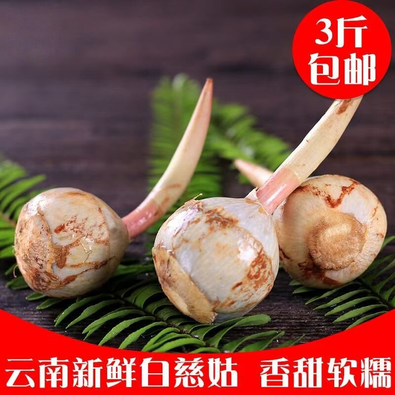 云南鲜慈姑3斤粉糯香甜