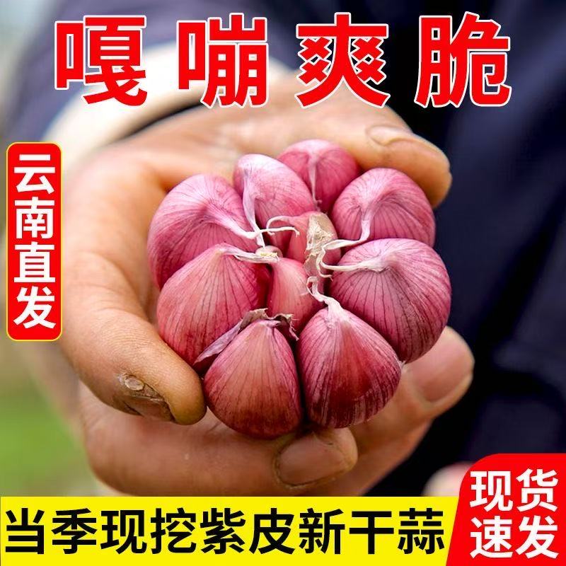 2025年正宗新鲜云南紫皮大蒜头干蒜5斤红皮多瓣蒜批发9香蒜