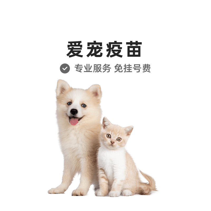 【云宠全国】宠物疫苗猫咪幼犬宠物小狗预防接种猫咪疫苗注射服务