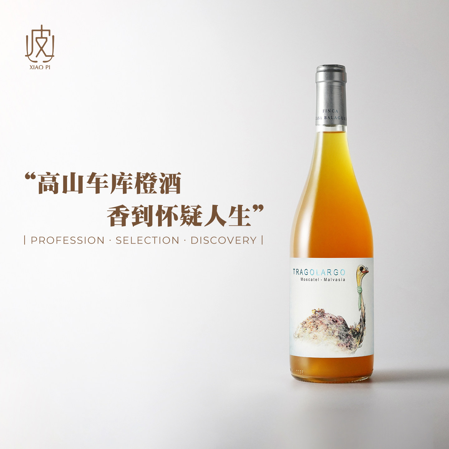 超香橙酒！闻不到花香的闭眼买 西班牙塔格拉格干白葡萄酒2021年