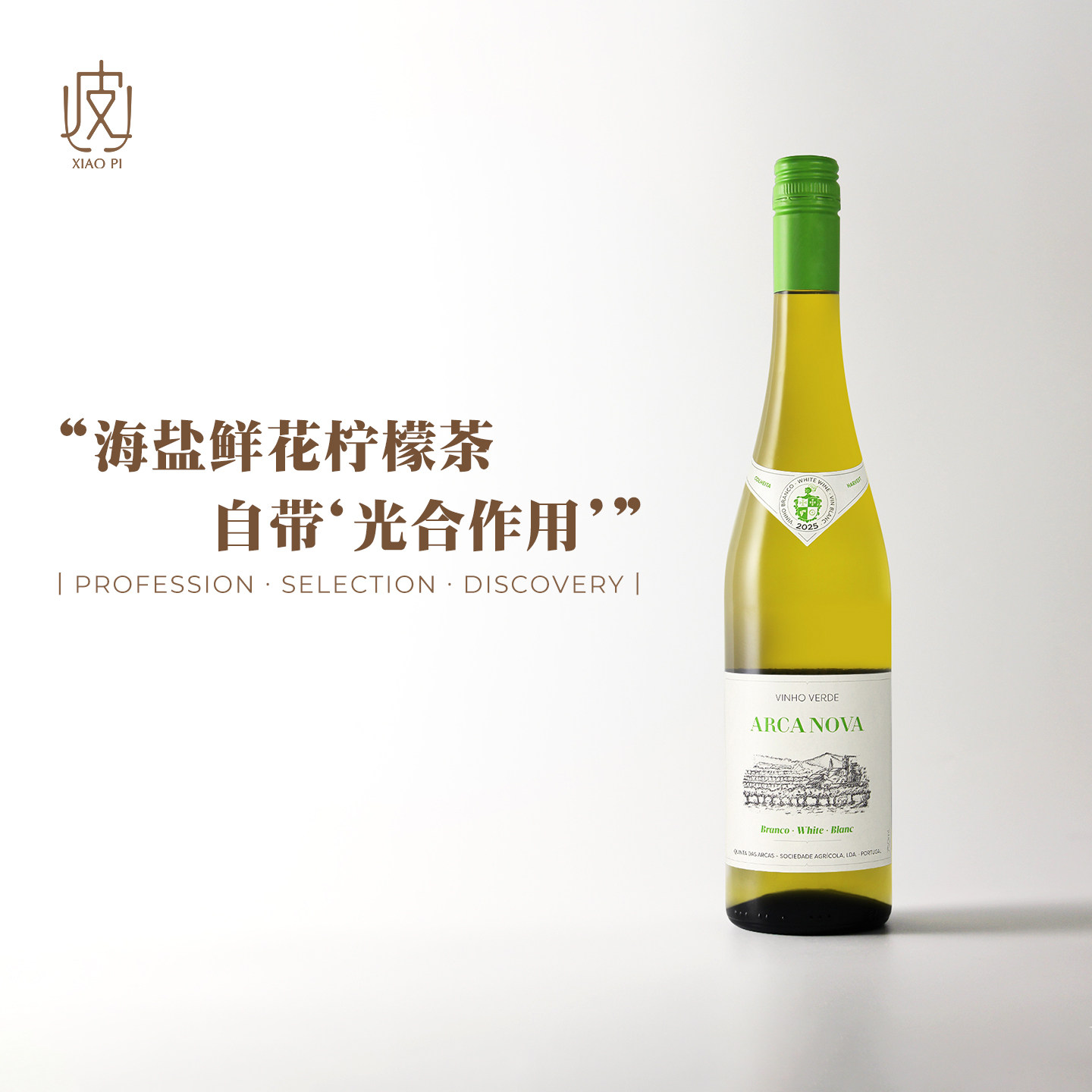 &ldquo;手作柠檬茶&rdquo;气质！一亲绿酒芳泽 葡萄牙诺瓦方舟干白绿葡萄酒
