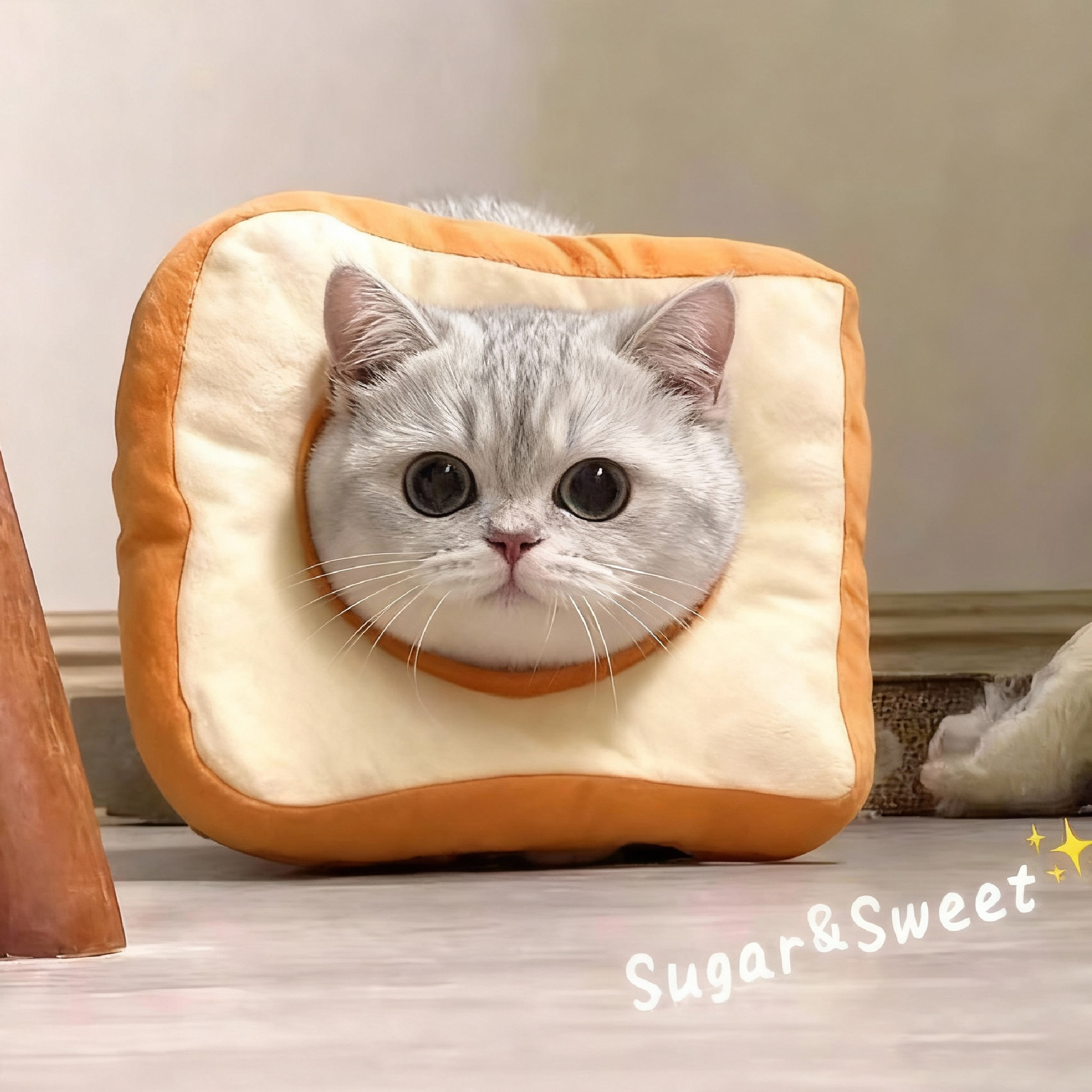 小猫伊丽莎白圈绝育柔软围脖可调节可吃饭项圈防舔咬神器猫咪脖圈,宠物/宠物食品及用品,宠物伊丽莎白圈,淘宝优惠券,粉丝福利购,淘宝优惠卷