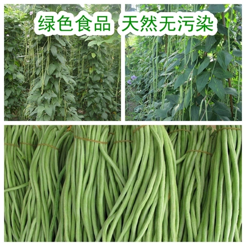 干豆角农家自制干豇豆湖南湖北干货日晒干长豆角2斤装脱水蔬菜