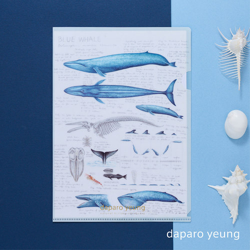 daparo yeung达普罗蓝鲸鲸鱼文件夹手绘原画a4资料夹生日礼物自然