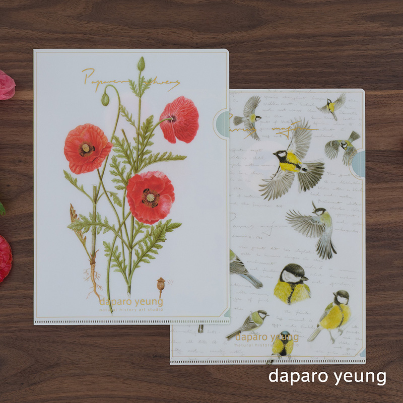 daparo yeung花鸟文件夹文创设计师手绘a4资料夹办公文具生日礼物