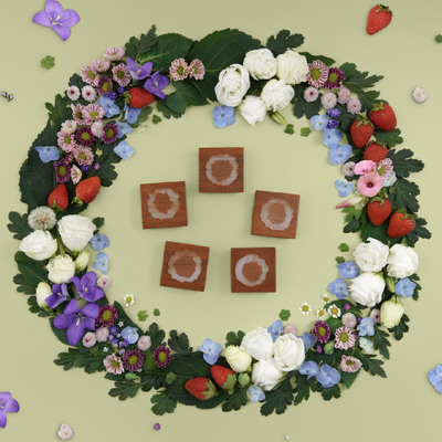 daparo yeung花草花环木头手账印章套装手绘图案日记印台印泥