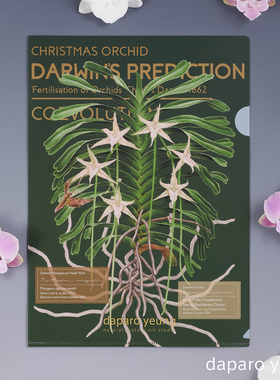 daparo yeung风兰长喙天蛾文件夹设计师手绘原画a4资料夹文具礼物