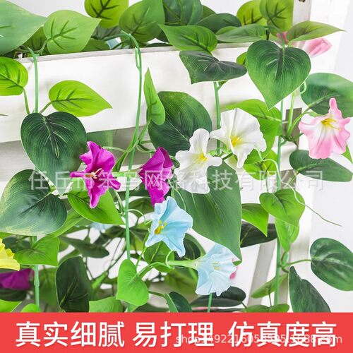 仿真牵牛花藤条装饰塑料花假花藤蔓吊顶空调管道缠绕遮挡喇叭
