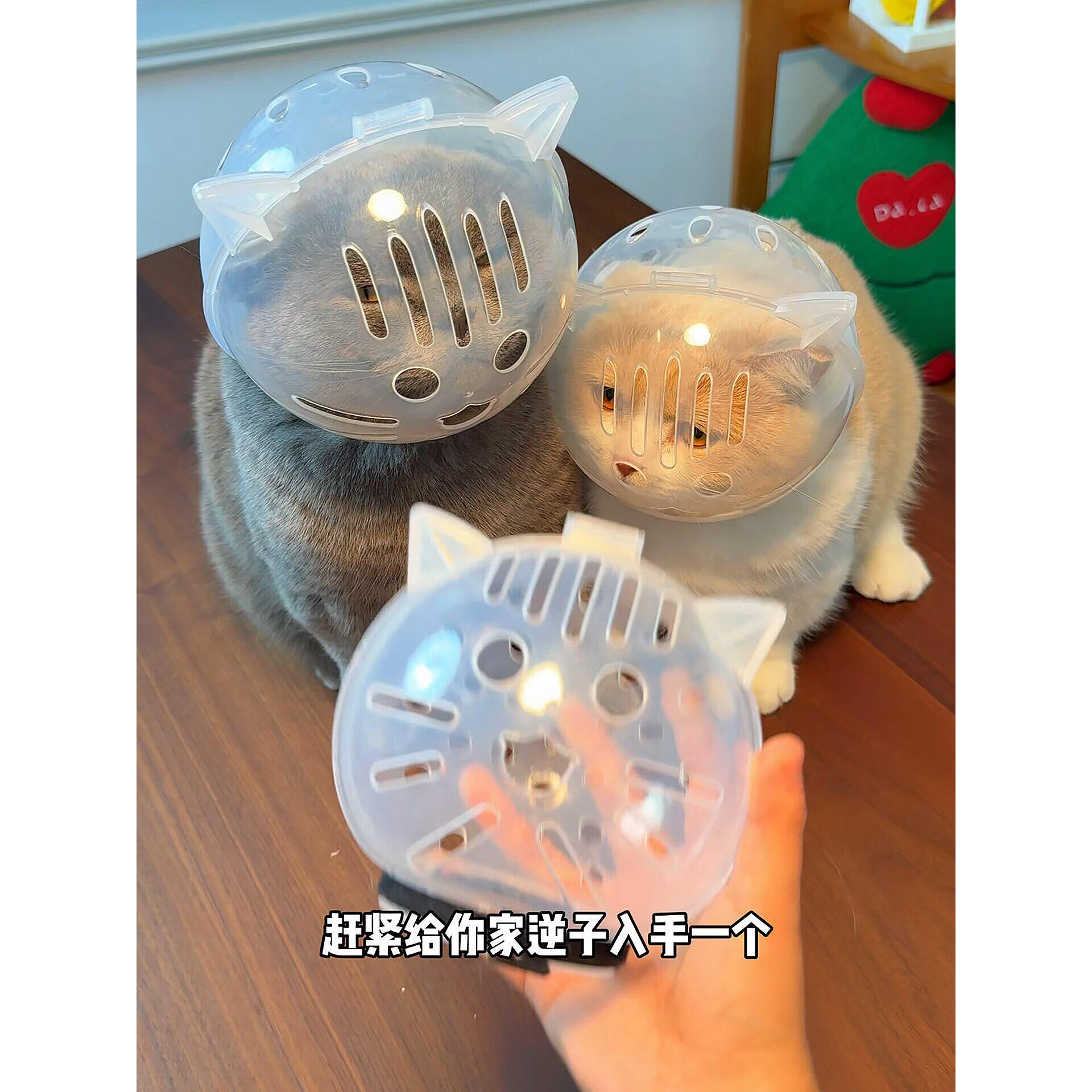 猫咪防咬头套剪指甲洗澡防脱头罩透气不闷热防打架太空罩美容神器