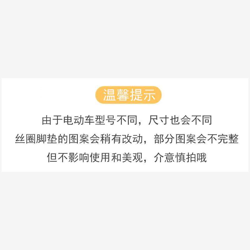 三轮车脚垫电动小海豚100
