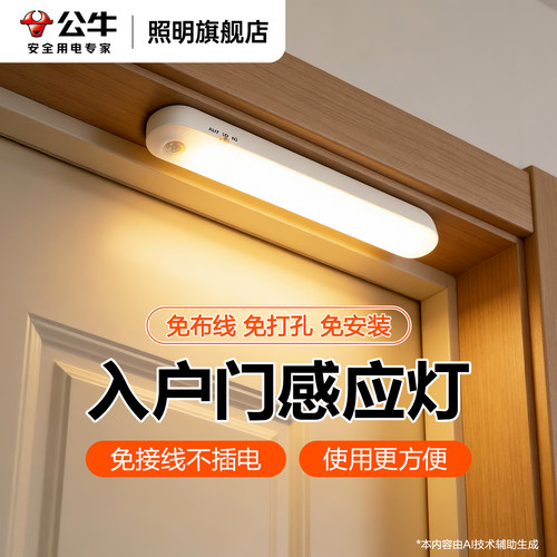 【感应灯入户门】人来即亮免接线