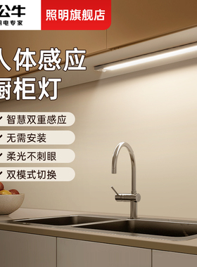 公牛LED橱柜灯带充电式人体感应厨房衣柜酒柜灯条鞋柜无线自粘
