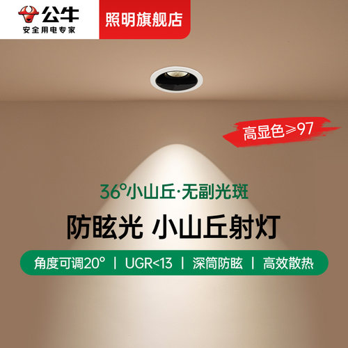 公牛家用LED可调角度小山丘射灯