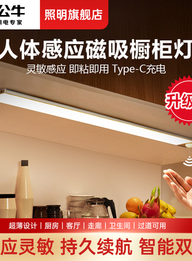 公牛橱柜灯带led酒柜灯充电人体感应灯条无线自粘厨房鞋柜衣柜灯
