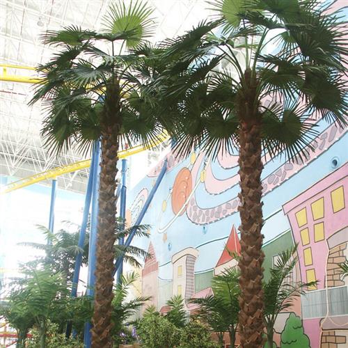 大型外贸仿真加拿利海枣树中东沙滩沙漠绿化工程造景跨境假海藻树