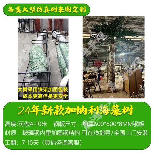 仿真海藻树大型源头工厂玻璃钢椰子树人造假树真树开模棕榈树