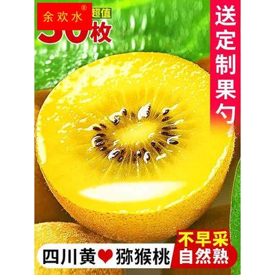 四川黄心猕猴桃奇异果30枚新鲜水果当季整箱金大果孕妇弥猴桃包邮