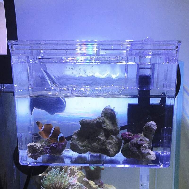 海缸没藻缸可以吗,fot海缸还要加藻缸吗,海缸fot可以不换水吗_大山谷图库