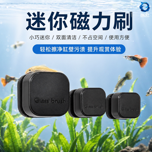 鱼缸迷你磁力刷小型玻璃擦双面清