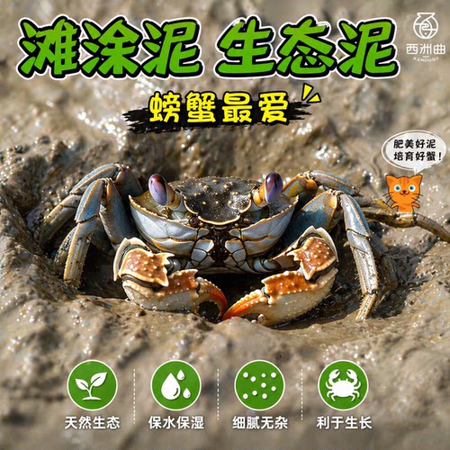 鱼缸辣椒蟹生态泥谭氏观赏打洞滩