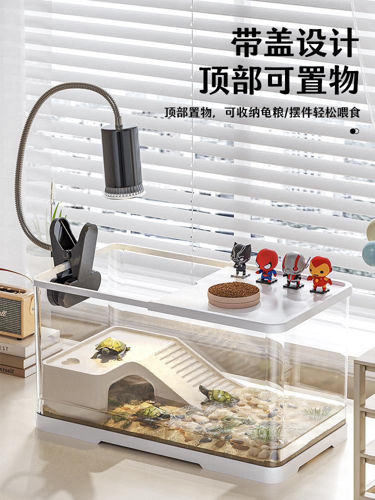 小乌龟活宠物观赏家养中华草龟珍珠巴西花龟小型好幼龟苗耐活体,宠物/宠物食品及用品,龟/鳖,淘宝优惠券,粉丝福利购,淘宝优惠卷