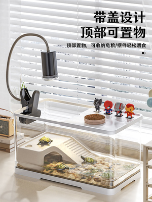小乌龟活宠物观赏家养中华草龟珍珠巴西花龟小型好幼龟苗耐活体