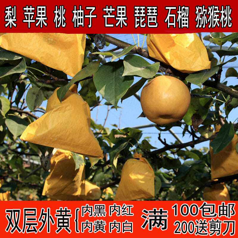 梨树套袋梨套袋桃袋柚子芒果苹果石榴柑橘桔子透气防雨水防鸟枇杷