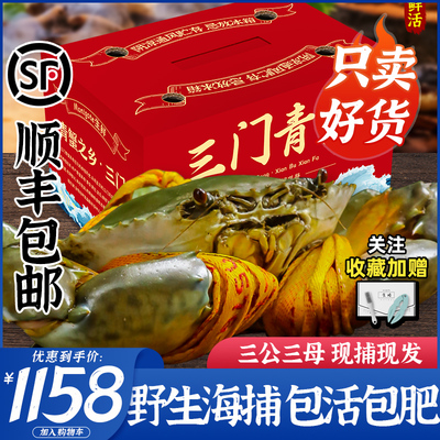 正宗三门青蟹3公3母礼盒包活包肥