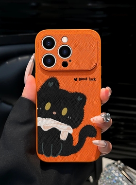 适用苹果17系列手机壳iphone17promax女新款16pro秋冬皮质15plus小众高级感14独特好看13镜头全包防摔保护套D