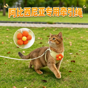 阿比西尼亚专用小猫牵引绳猫咪宠物幼猫防挣脱外出背带猫绳子出门