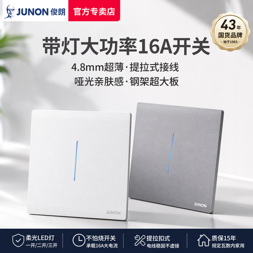 大功率16A开关led灯面板单双控