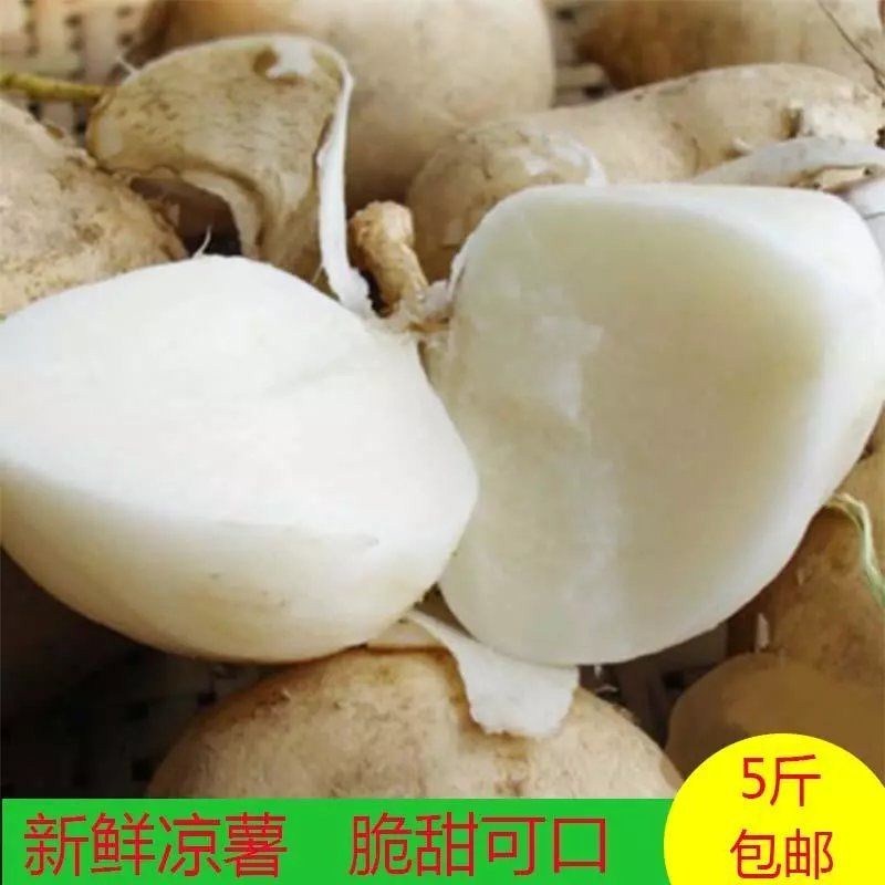 湖南湘西新鲜凉薯白地瓜豆薯地瓜地萝卜蔬菜水果5斤包邮