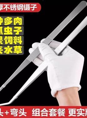 加长不锈钢镊子大号镊子带齿加厚长镊子水箱鱼缸水草长镊子长夹子