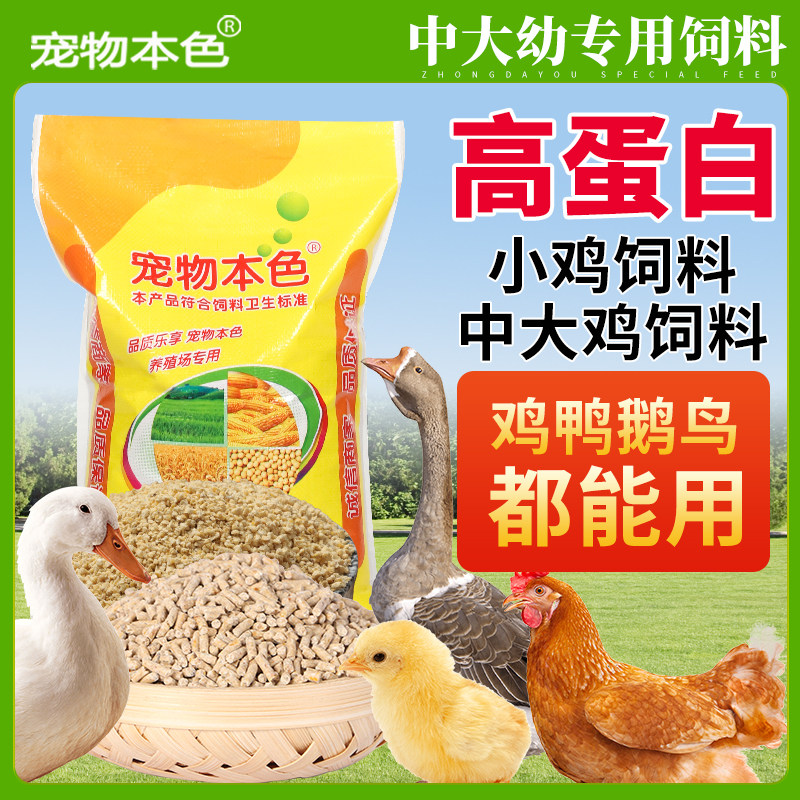 80斤鸡饲料510A中小鸡鸭鹅畜牧/养殖饲料