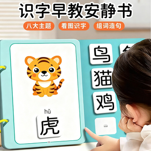 识字书幼儿童认字启蒙早教安静撕撕书幼儿园识字卡片全套宝宝认知