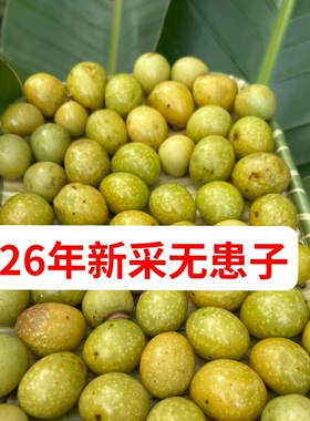 26年现采新鲜无患子无患子大果野生无患子果皮无患子鲜果