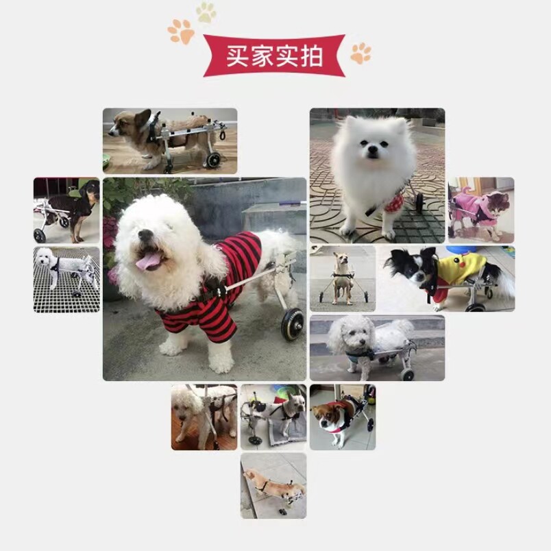 狗轮椅可调节后肢宠物助