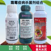 防治霜霉病疫病杀菌剂组合氰霜唑烯酰吗啉霜脲氰霜霉威盐酸盐