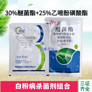 白粉病组合杀菌剂25%乙嘧酚磺酸酯 30%醚菌酯抗性白粉病农药