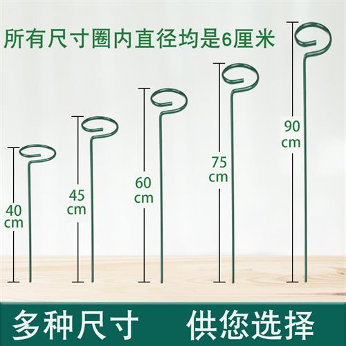 园艺花架植物支撑杆兰花支架花卉防倒伏朱顶红花支架铁艺盆栽固定