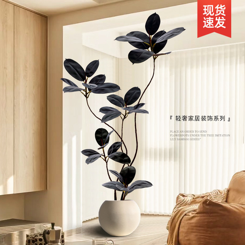 黑金刚橡皮树彷真绿色植物室内沙发旁假植物彷生盆栽大型客厅落地