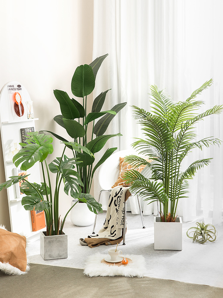 彷真绿植假植物盆栽大型落地摆件旅人蕉散尾葵吊钟树橱窗造景网红