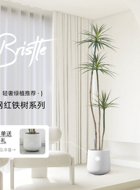 彷真绿色植物龙舌兰盆栽室内大型彷生假绿植客厅摆件龙血树彷真树