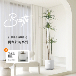 彷真绿色植物龙舌兰盆栽室内大型彷生假绿植客厅摆件龙血树彷真树