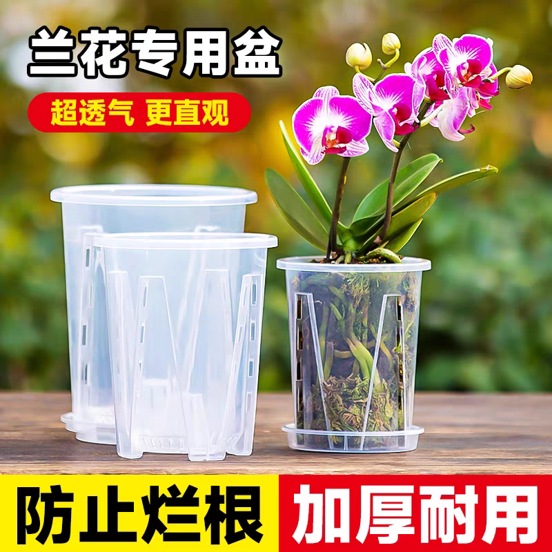 蝴蝶兰专用花盆兰花水苔树皮透明控根生根塑料盆