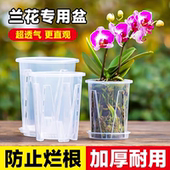 蝴蝶兰专用花盆兰花水苔树皮透明控根生根塑料盆